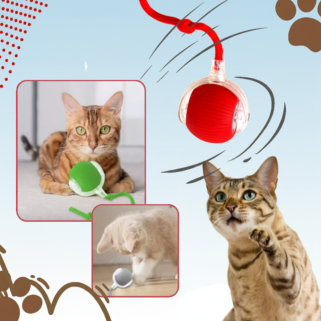 Interactive Cat Toy Ball Toy Cats