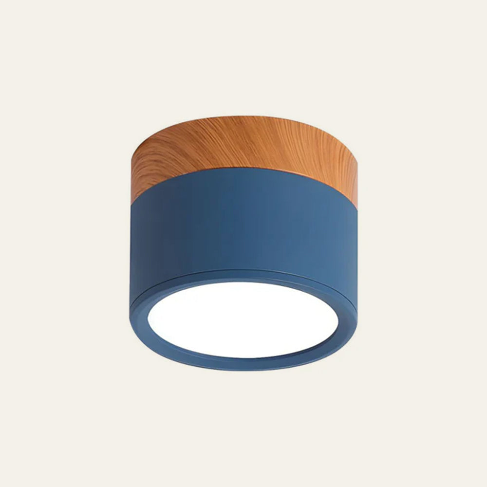 Cylinder Ceiling Light Modern Flat Ceiling Lamp Metal