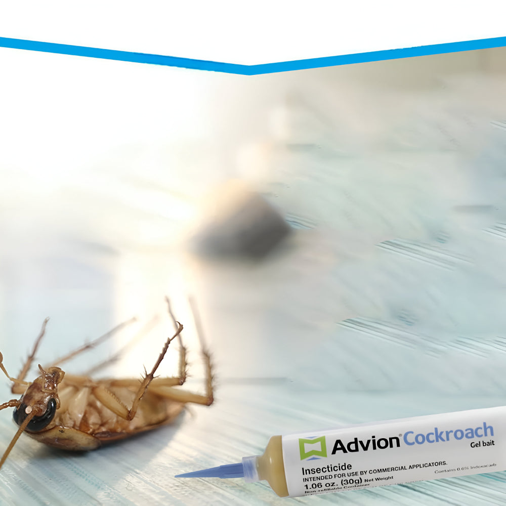 Cockroach Gel Bait Non-toxic Pest Control Kitchen