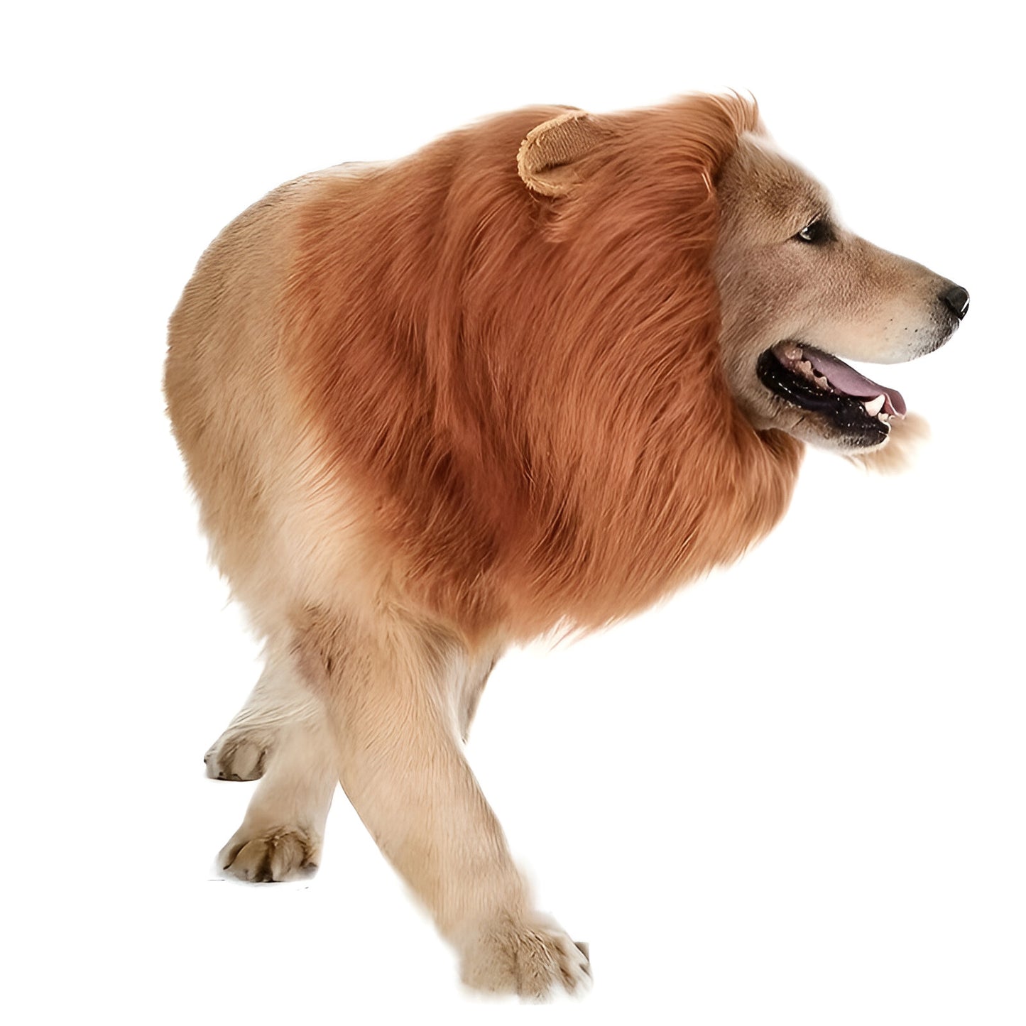 Costume de chien Crinière de lion en peluche Halloween