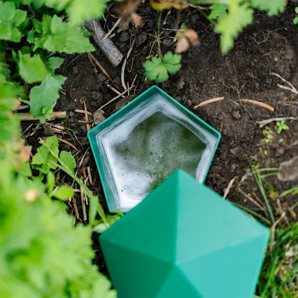 Piège Escargots Jardin Réutilisable Protection Plantes