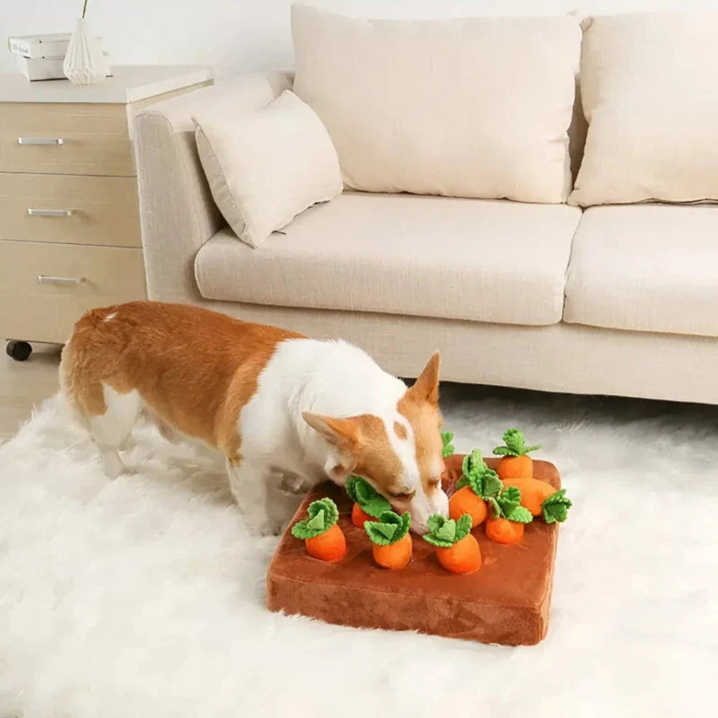 Giocattolo per cani a forma di carota gioco interattivo con snack peluche