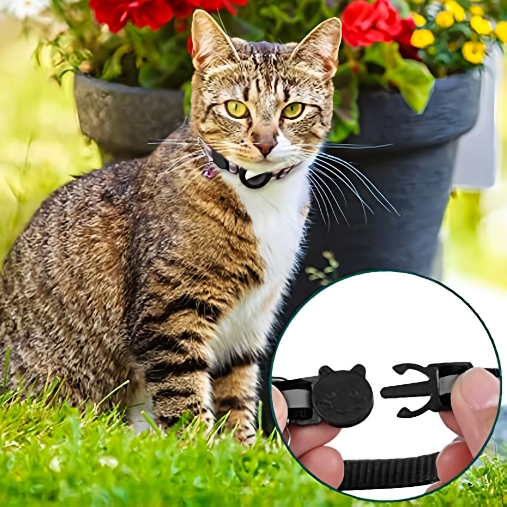 Katzenhalsband Nylon Reflektierend Mit Glocke