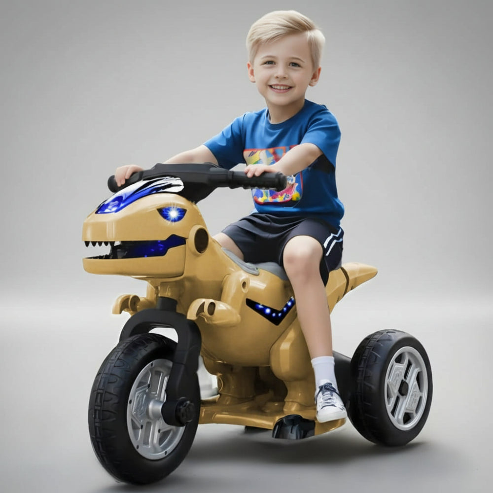 Kinder Elektro Motorrad Dreirad Dinosaurier 12V LED Musik Akku