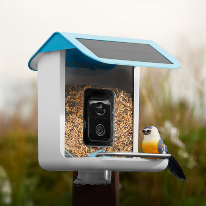 Vogelfutterhaus Kamera Solar Outdoor Vogelhaus