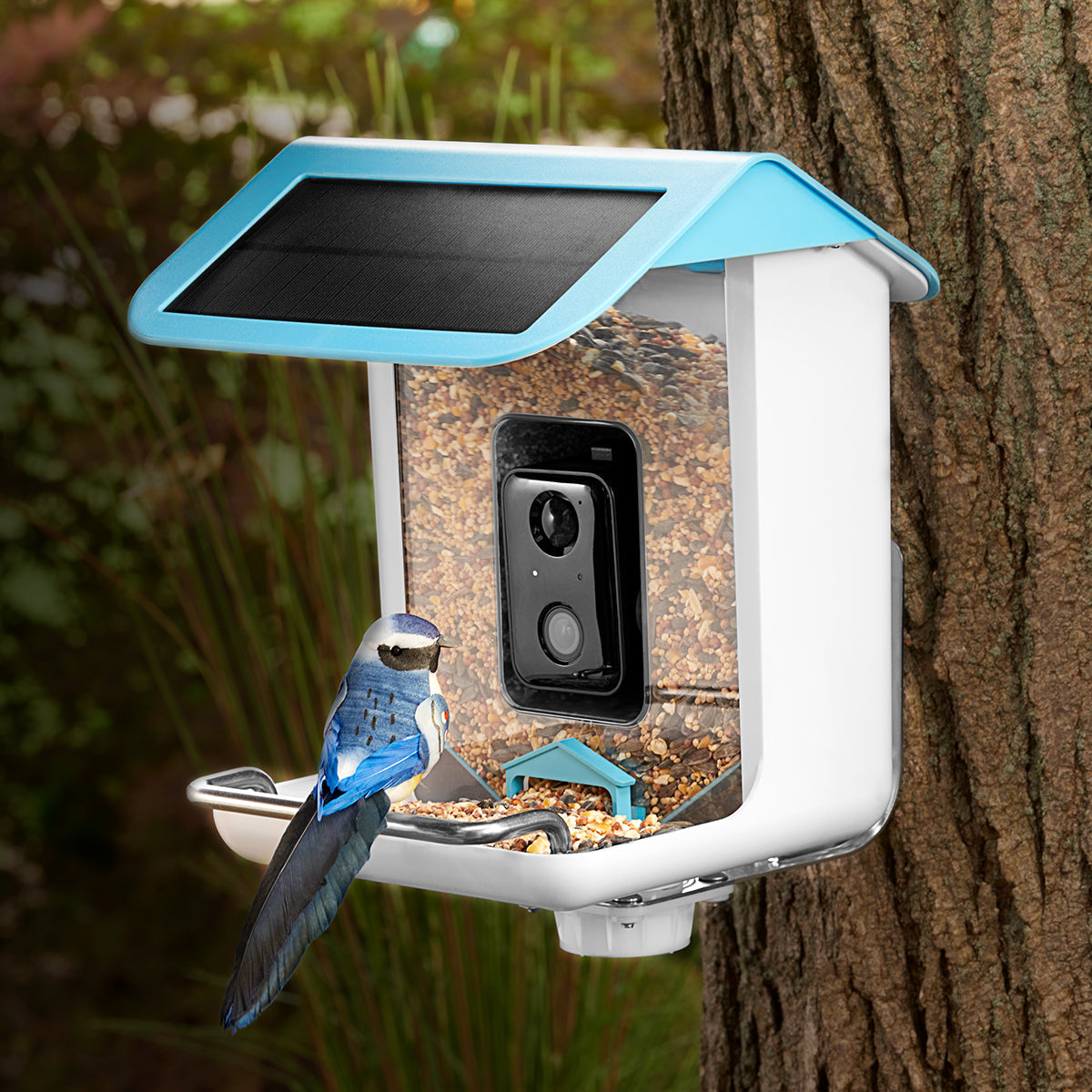 Vogelfutterhaus Kamera Solar Outdoor Vogelhaus