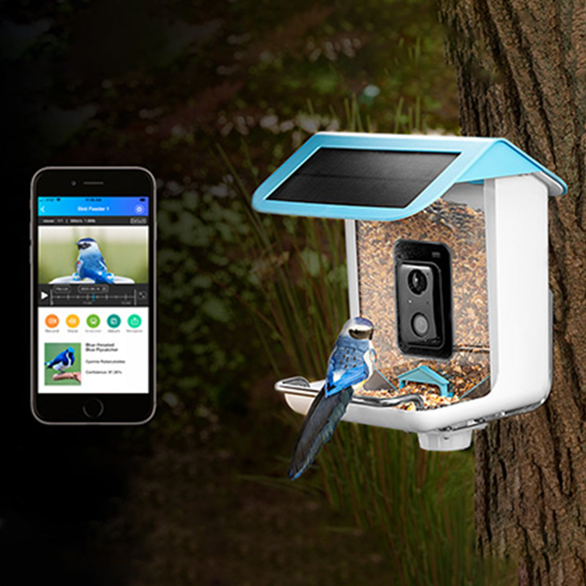 Vogelfutterhaus Kamera Solar Outdoor Vogelhaus