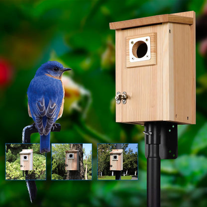 Vogelhaus Holz Wetterfest Nistkasten Außen