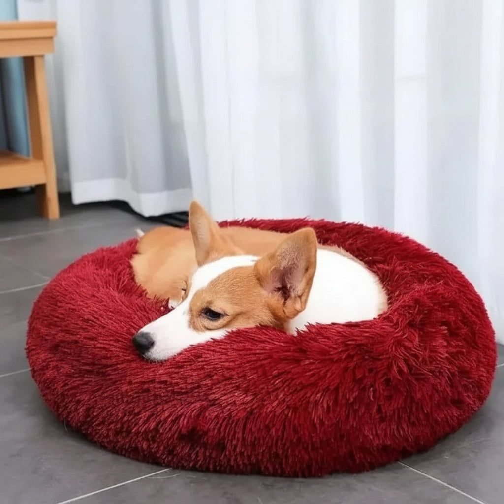 Angst Hundebett Für Große Hunde Gemütlich Und Weich