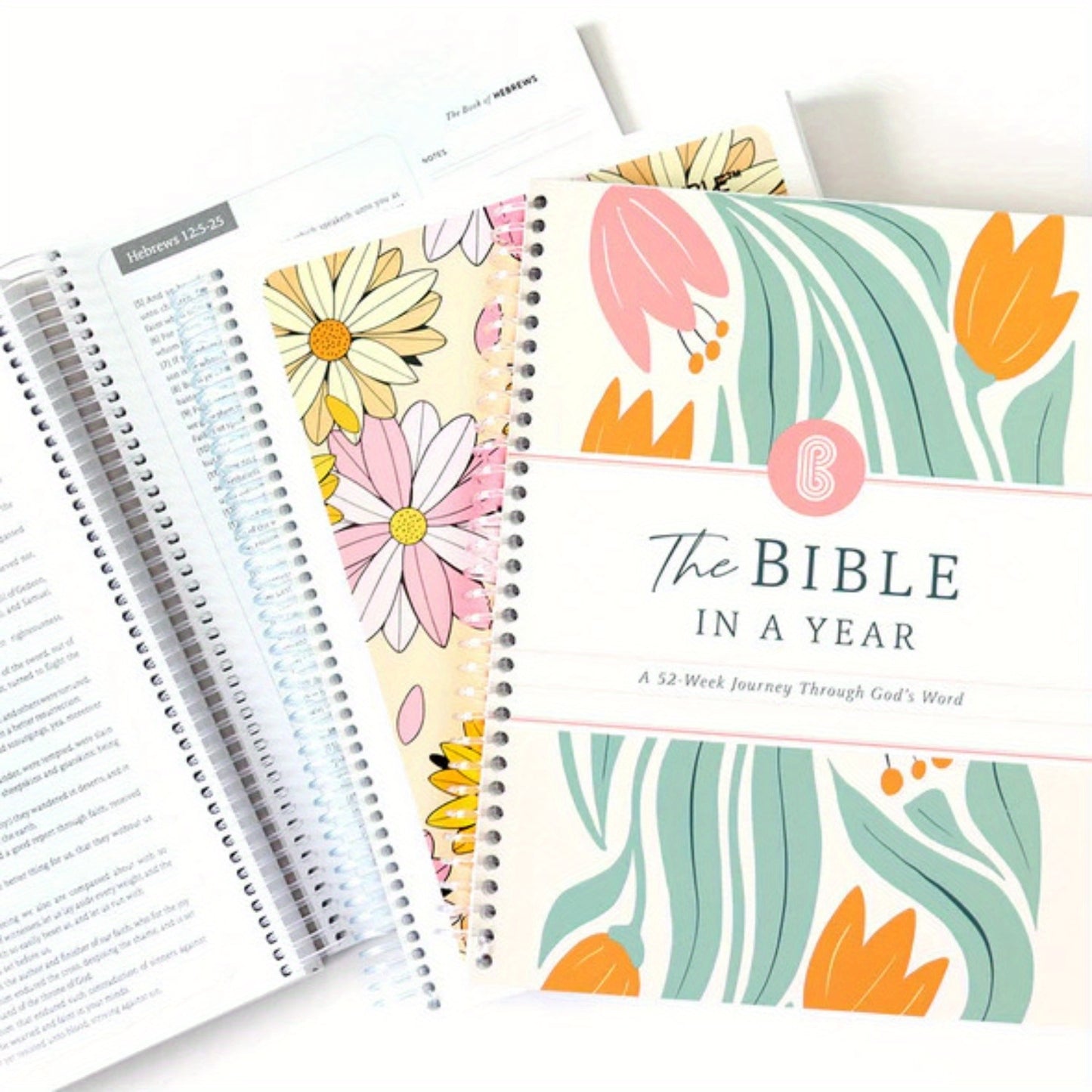 Bibel Lesplan 52 Wochen Spiralbuch Gebetsbuch Frauen