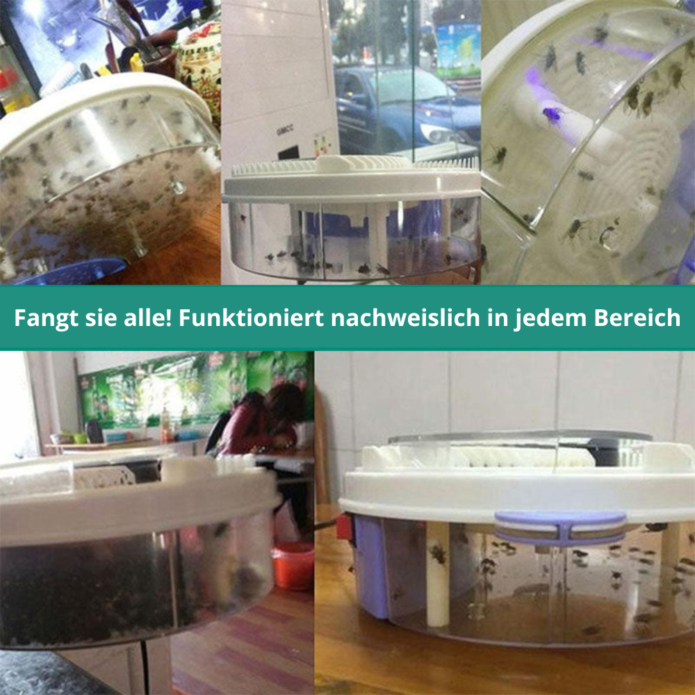 Fliegenfalle