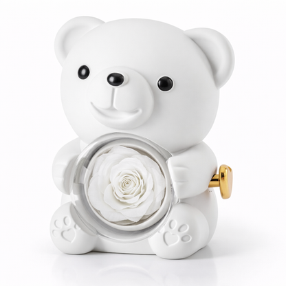 Geschenk Teddybär Konservierte Rose Schmuck Überraschung