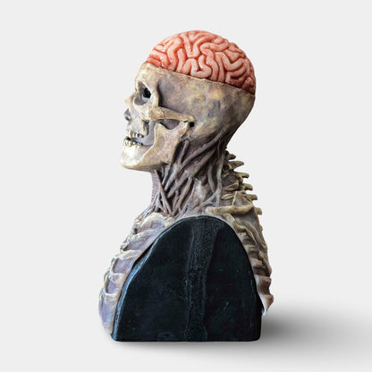 Costume di Halloween Maschera da scheletro con mascella mobile per adulti