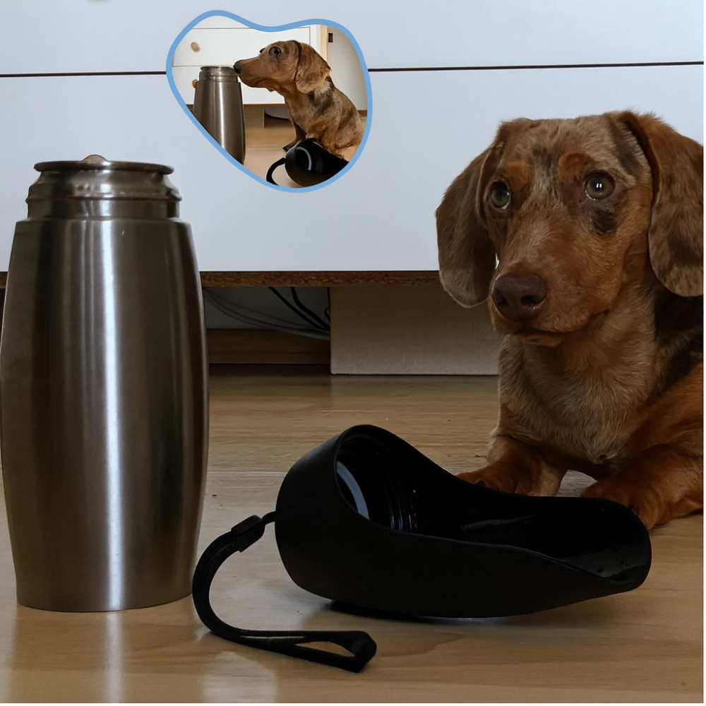 Dog Drinking Bottle Stainless Steel Leak-Proof Insulated Portable Outdoor