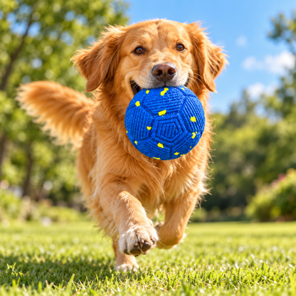 Interaktiver Hundespielzeug Mit Verschiedenen Spielmodi