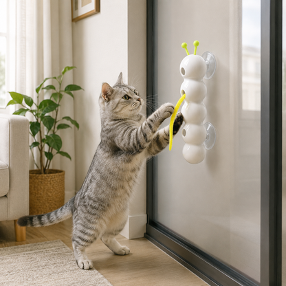 Interaktives Wandspielzeug Für Katzen Aktive Katzen