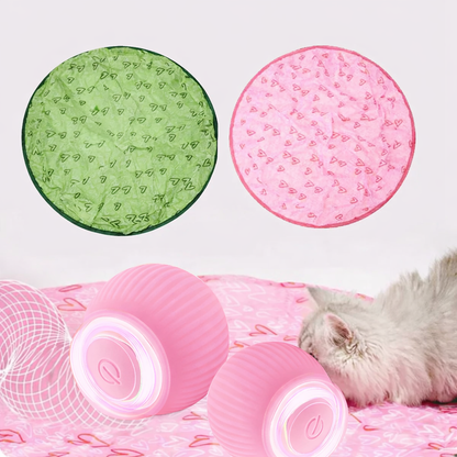 Cat Toy Interactive Play Ball Self-Rolling Movement Training