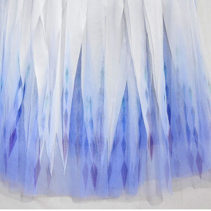 Kids Princess Dress Blue Tulle Costume
