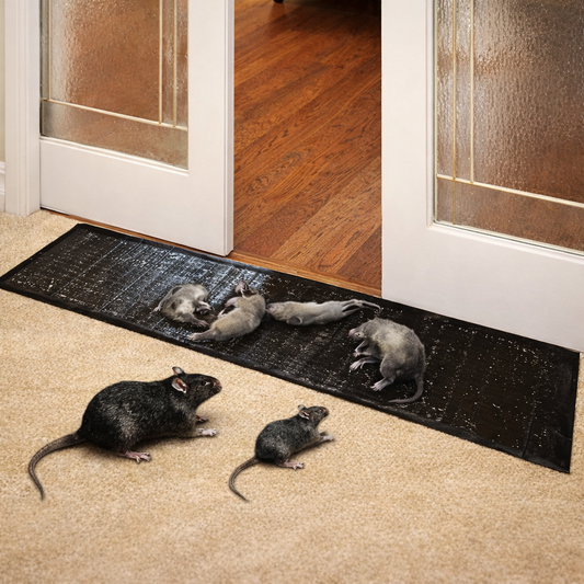 Mouse Trap Large Glue Pest Control Board