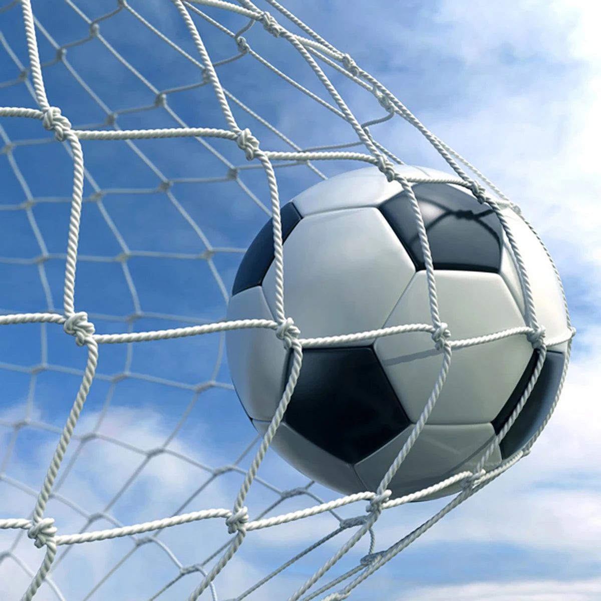Red Fútbol Mundial Robusta Entrenamiento Juegos