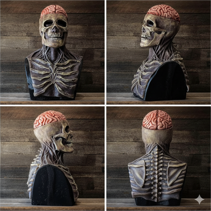 Masque de crâne réaliste en latex avec détails cerveau