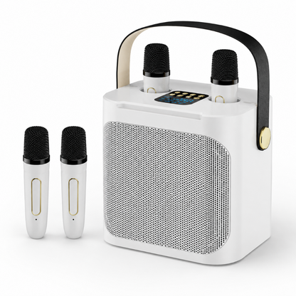 Tragbarer Karaoke Lautsprecher Mit Mikrofonen Für Musik