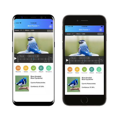 Vogelfutterhaus Kamera Solar Outdoor Vogelhaus