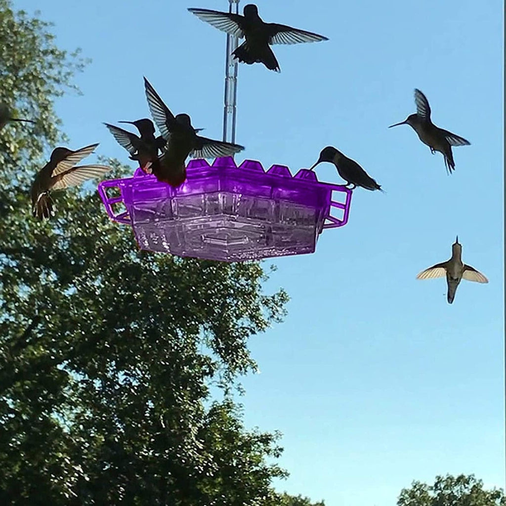 Vogelfutterhaus Kolibri Futterspender Transparent Sechseck Design