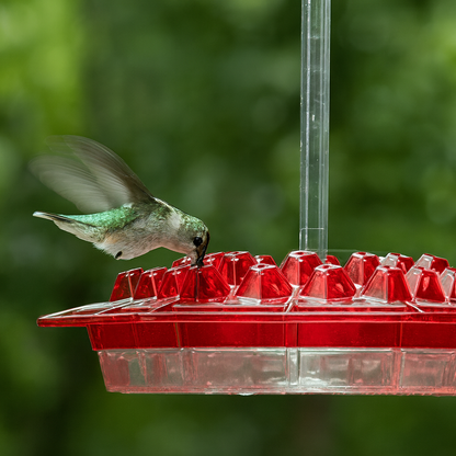 Bird Feeder Hexagon Clear Hanging Garden Feeder