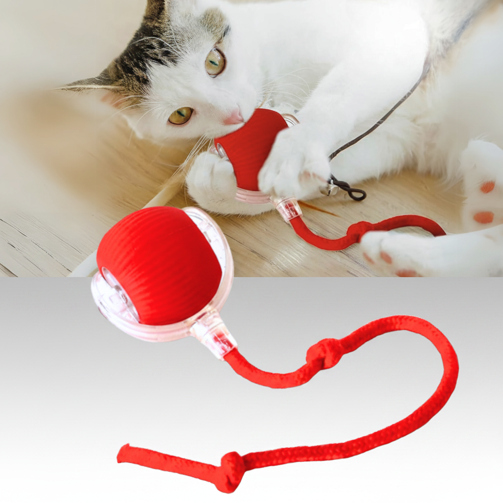 Gioco Gatto Interattivo Palla Giocattolo