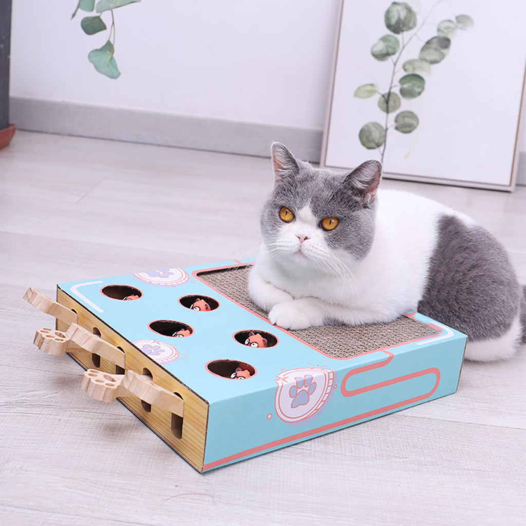 Cat Playground Scratching Toy Wood Scratching Surface