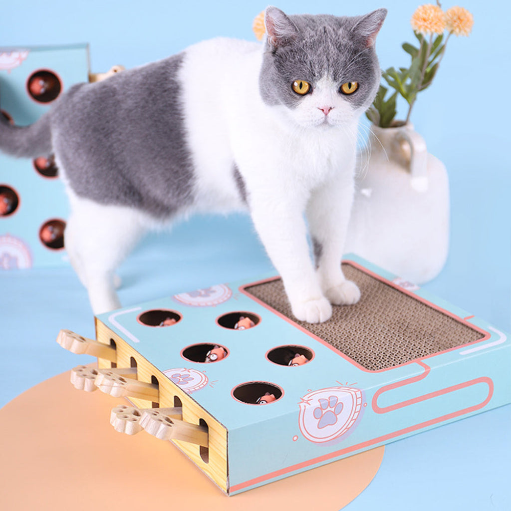 Cat Playground Scratching Toy Wood Scratching Surface