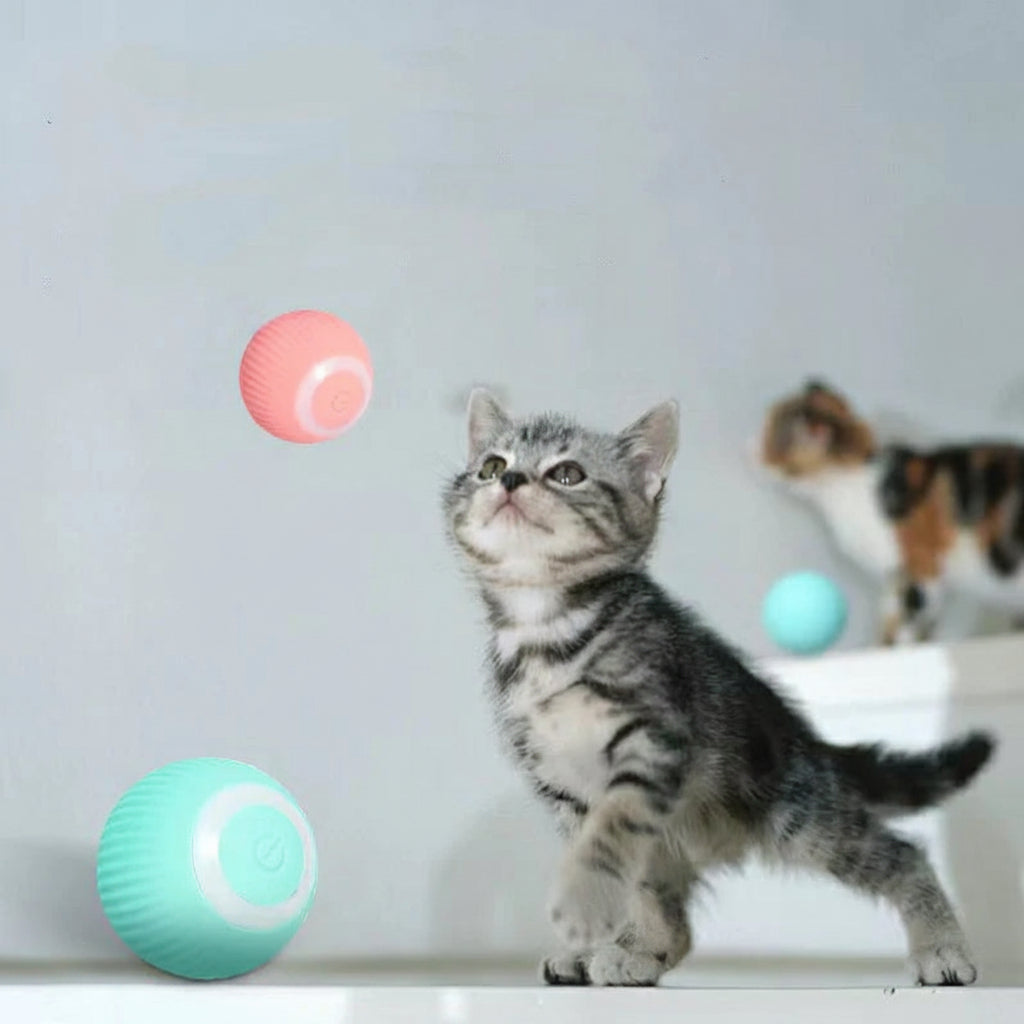 Cat Ball Toy Interactive Toy Ball Pets