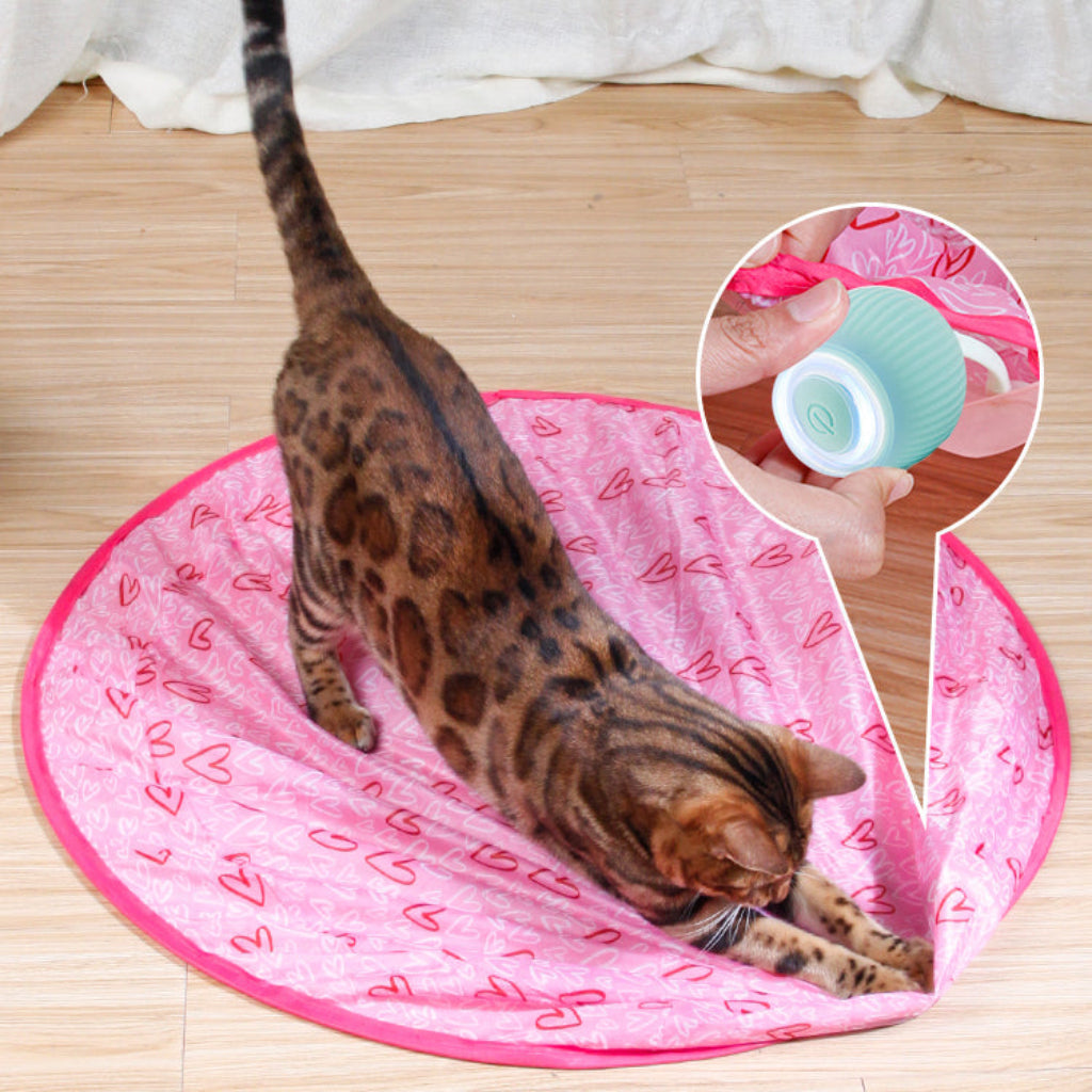 Cat Ball Toy Interactive Toy Ball Pets