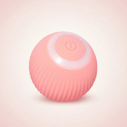 Cat Ball Toy Interactive Toy Ball Pets