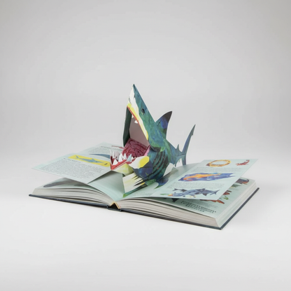 Dinosaurier 3D Pop Up Buch Kinder Lernspiel Aufklappseiten - Image 10