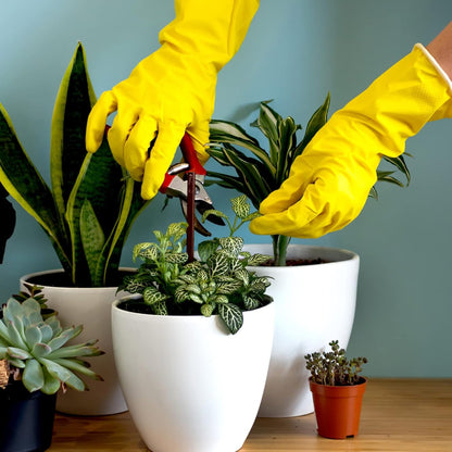 Gants en caoutchouc cuisine Gants vaisselle Nettoyage ménage