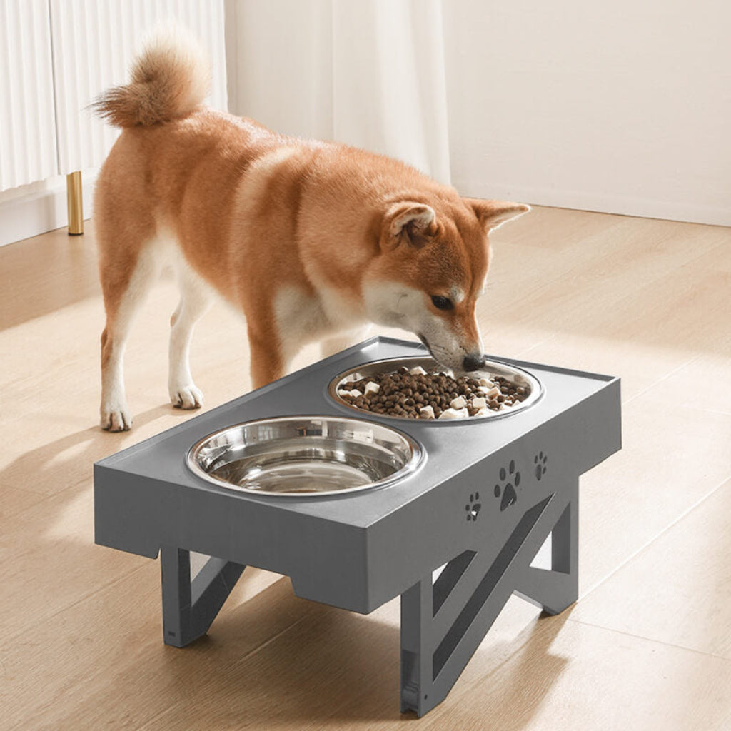 Dog Bowls Adjustable Height Feeding Station Metal Double Bowl
