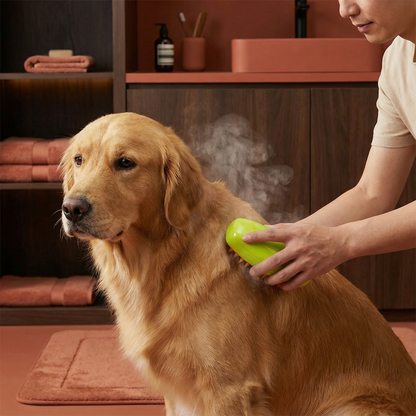 Brosse Vapeur pour Chiens Brosse de Soin du Pelage Brosse de Soin des Poils de Chien