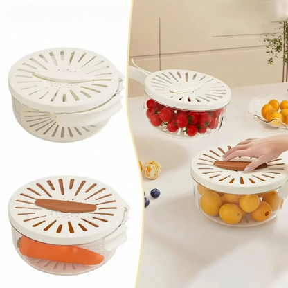 Dish Rack Kitchen Draining Tray Plastic Dish Drainer