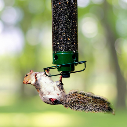 Eichhörnchensicher Vogelfutterspender Mehrere Futteröffnungen - Image 1