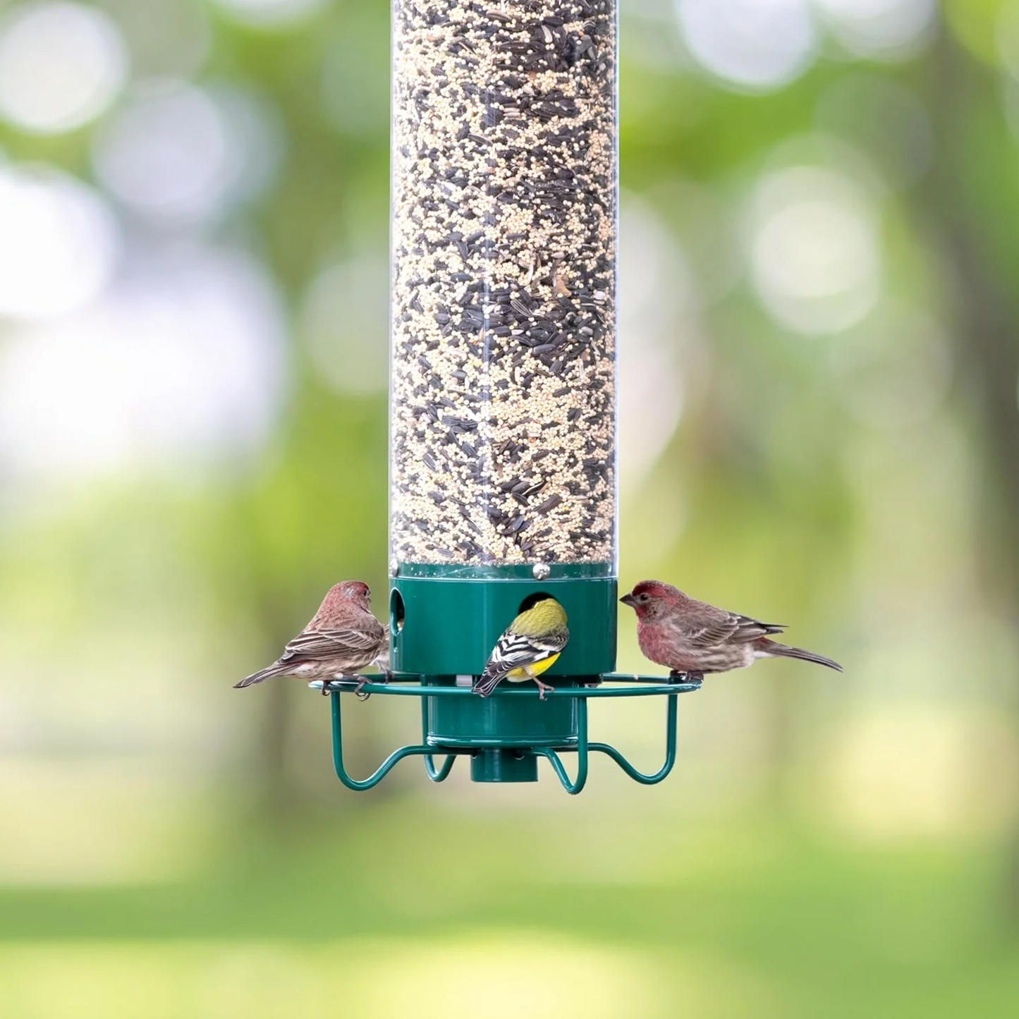 Eichhörnchensicher Vogelfutterspender Mehrere Futteröffnungen - Image 6