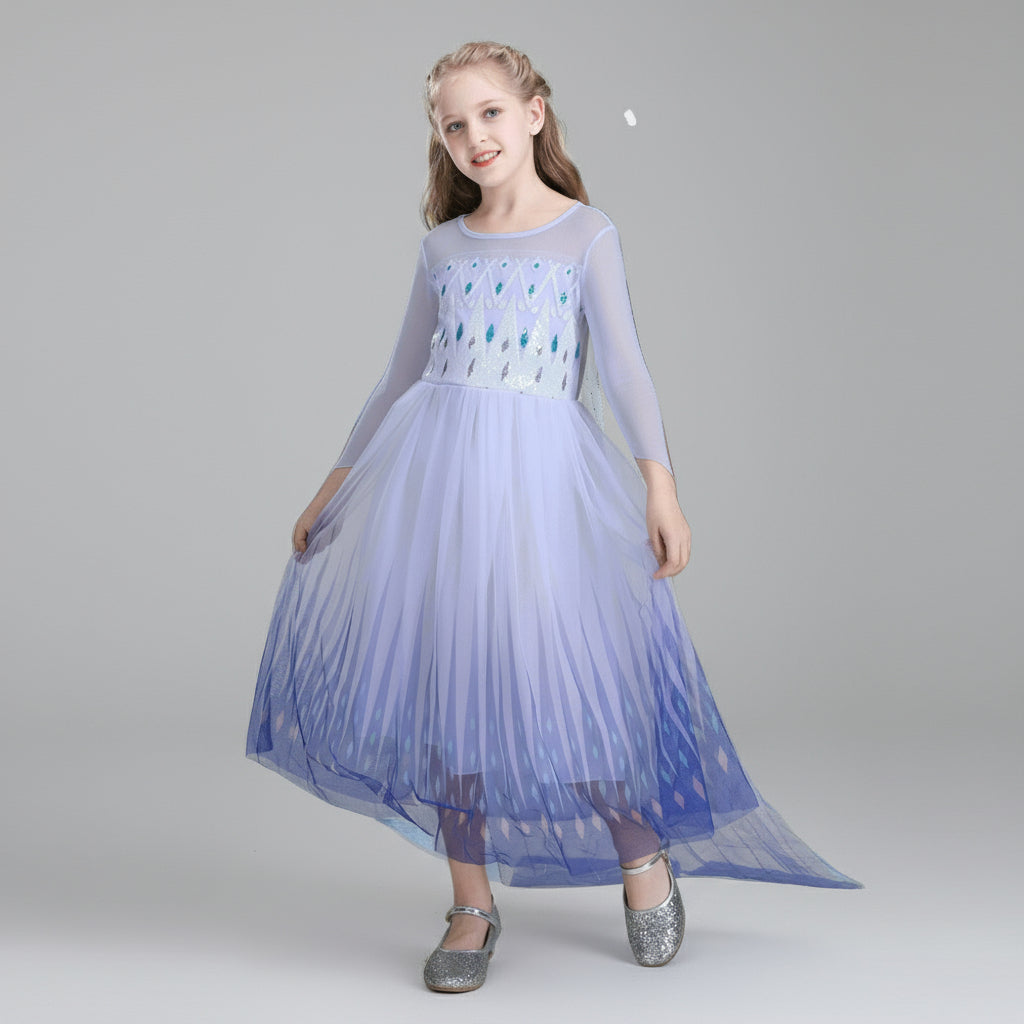 Kids Princess Dress Blue Tulle Costume