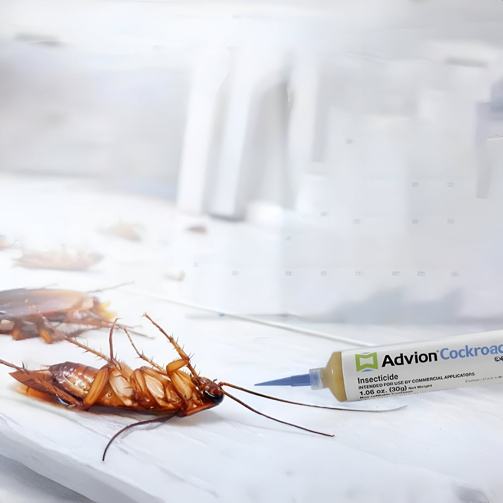 Kakerlaken Gelköder Ungiftig Schädlingsbekämpfung Küche