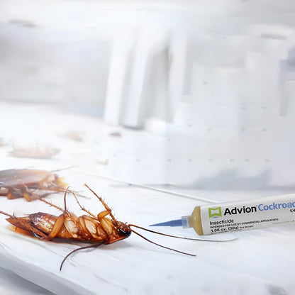 Kakerlaken Gelköder Ungiftig Schädlingsbekämpfung Küche