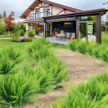 Kunstpflanze Boston Farn Hängend Grün