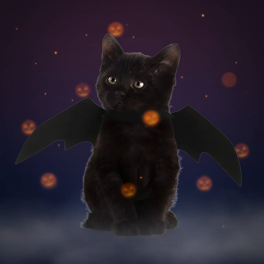 Halloween Accessoires Haustierkostüm Flügel - Image 7