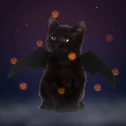 Halloween Accessoires Haustierkostüm Flügel - Image 7