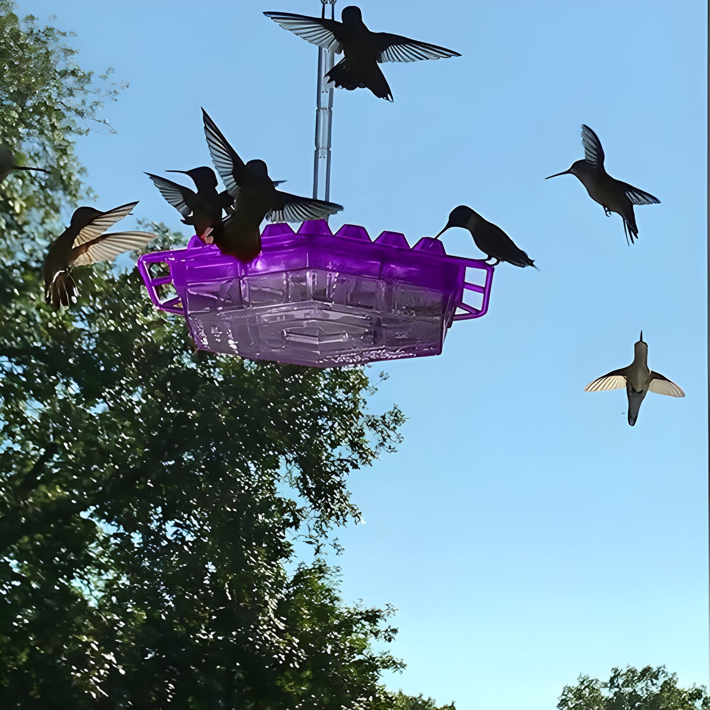 Vogelhaus Kunststoff Wetterfest Hängend