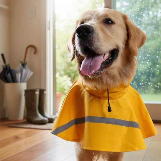 Hunde Regenmantel Kapuze Wasserdicht Reflektierend - Image 1